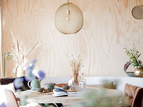 Logement de vacances spacieux sur la côte néerlandaise - 3