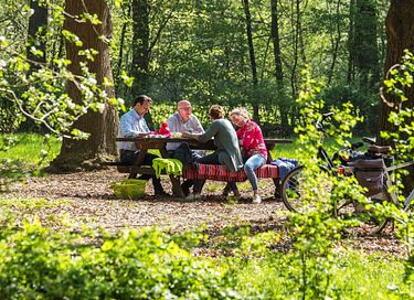 Romantische ferienwohnungen mit sauna und hot tub - 21