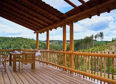 Cabane unique dans les arbes avec toboggan à Winterberg - 10