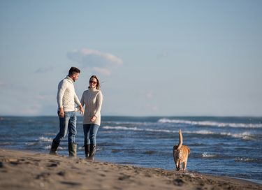 Designvilla (6p) in Zeeland (hond toegestaan) - 29