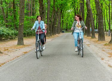 6-persoons vakantiehuis op de Veluwe - 32