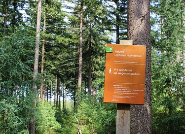 Logement de vacances moderne sur la Veluwe - 42