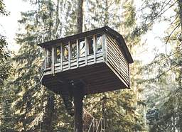 Treehouse