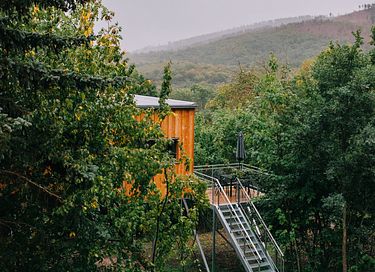 Boomhut (6p) in het Harz gebergte