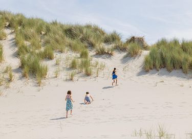 Ferienwohnung mit eigenem Pool auf Ameland - 28