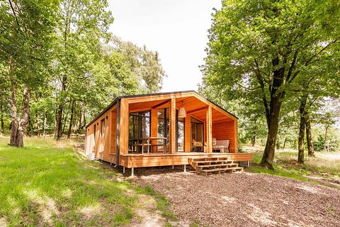 Houten lodge (5p) in mooie omgeving - 3