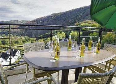 Wellness-Penthouse am Park in der Eifel - 17