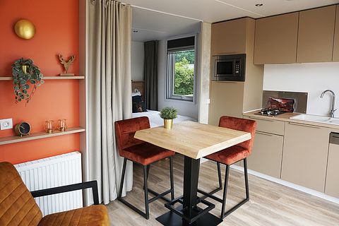 Luxury lodge for two on the Veluwe - 5