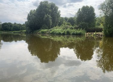 Tiny House aan het water - 4