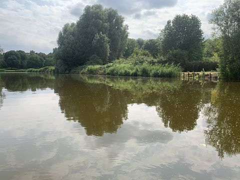 Tiny House aan het water - 4