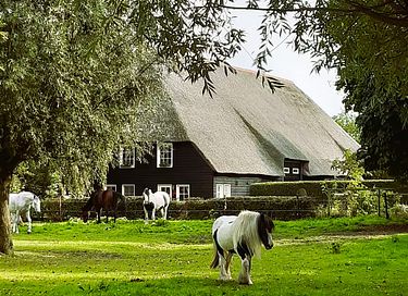 Historisches Bauernhaus in der Nähe des Meeres