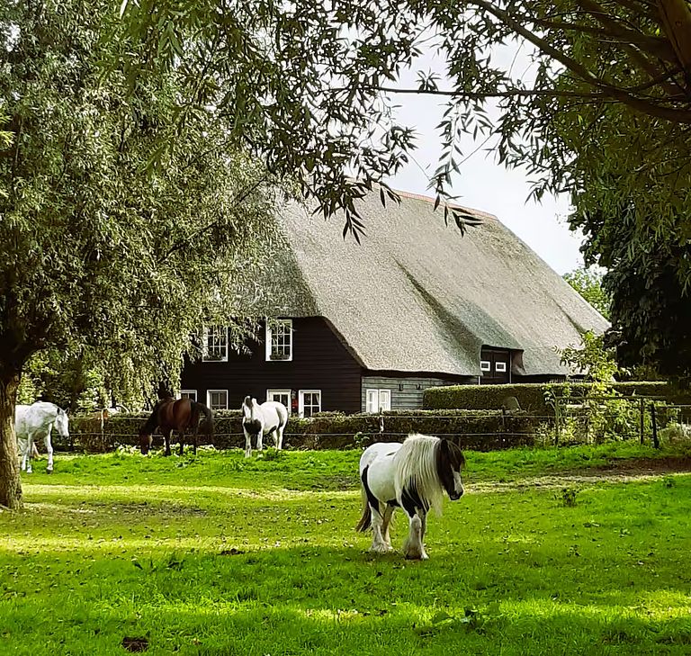 Einzigartige Übernachtung in Zeeland - 1