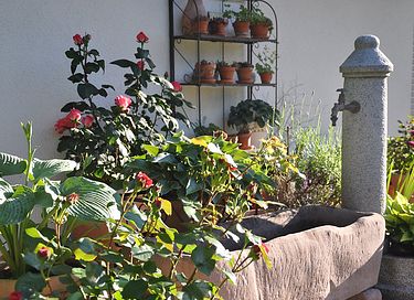 Ferielejlighed med balkon og rosenhave - 21