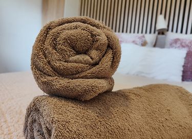 Logement de vacances à Drenthe avec jacuzzi privé - 23