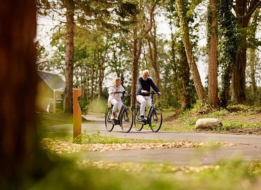 Vakantiehuis in Drenthe met jacuzzi  - 29
