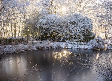Romantisch overnachten in een herderswagen - 31