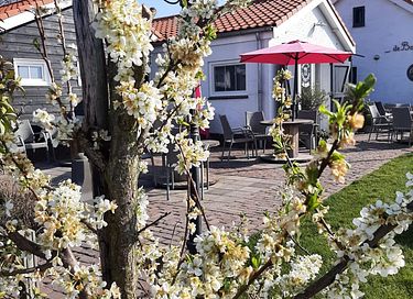 Stimmungsvolle Ferienwohnung für 2 in Zeeland - 25