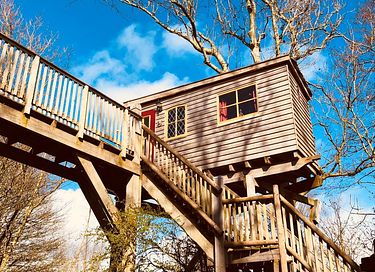 L'arbre a cabane avec un balcon dans un environnement naturel - 1