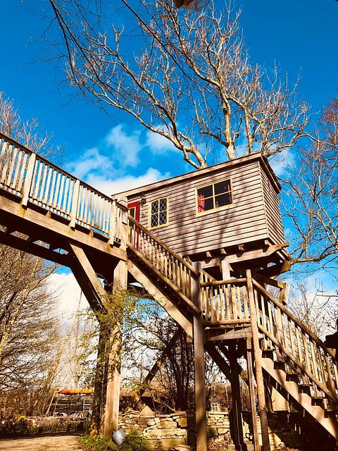 Tree house with balcony within nature - 3