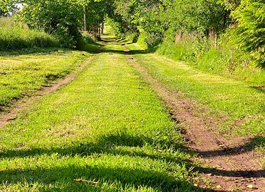 Rustic stay in rural setting - 23