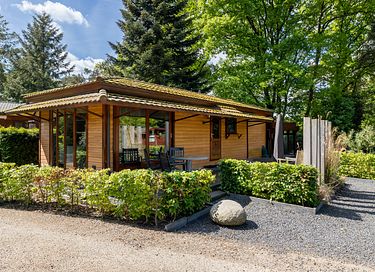 Tiny lodge with terrace in the woods - 3