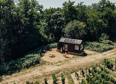 Et Tiny House midt blandt vinrankerne - 10