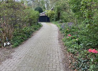 Prachtig natuurhuisje als in een sprookje - 32