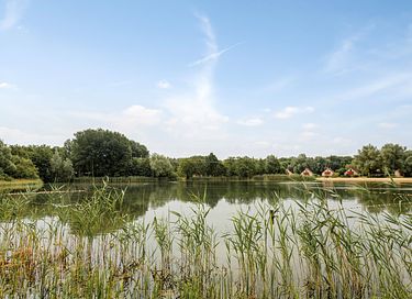 Wellness-Ferienhaus mit Whirlpool in Gelderland - 47