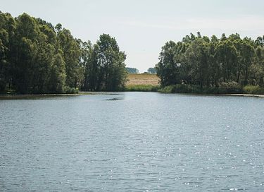 Logement de vacances confortable avec piscine extérieure - 18