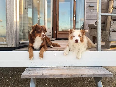Strandvilla in Zeeland (honden toegestaan)  - 3
