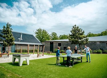 Unieke boomhut in Drenthe voor 6 personen - 16