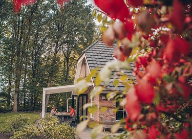 Vakantiehuis met wellness in Drenthe - 15