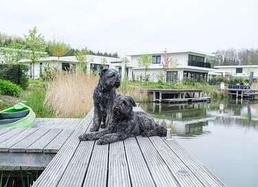 Vakantiehuis aan het water (hondvriendelijk) - 30