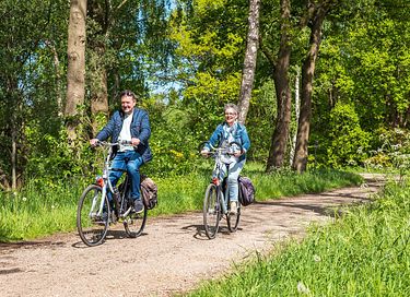 Glamping Wellness Suite in der Achterhoek - 21