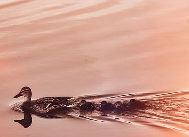 Expérience unique de sommeil sur l'eau à bord d'un bateau - 23
