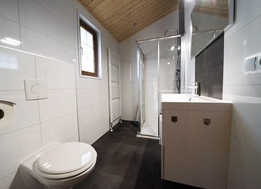Chalet rustique dans le Veluwe - 11