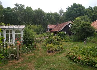 Gemütliches schwedisches Landhaus in Drenthe - 33