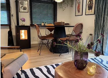 Boshuis met wellness in Drenthe - 6