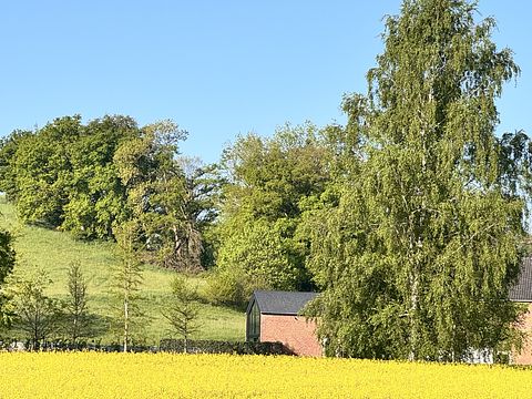 Vakantiehuis met hottub en uitzicht - 5