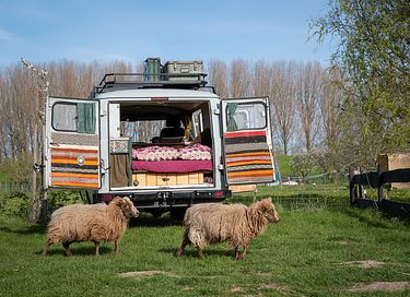 Unique circus wagon on a farm - 38