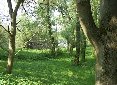 Tiny house overlooking a beaver's lair! - 26