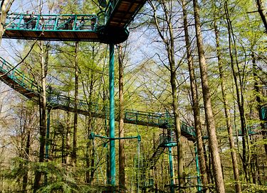 Gemütliche Gondel in den Wäldern von Drenthe - 16
