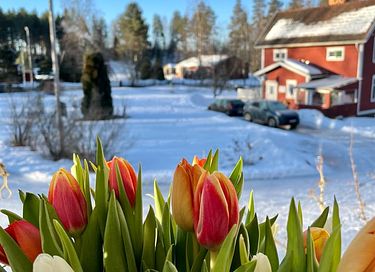 Idyllische vakantiehuis voor 6 personen - 2
