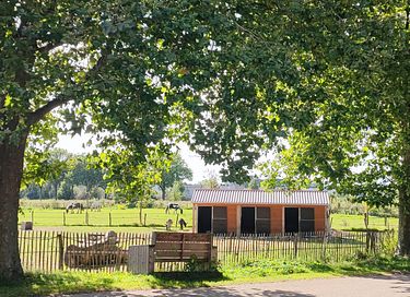 Glamping (5p) near Zutphen - 14