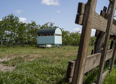 Vogels spotten vanuit je eigen hut - 2