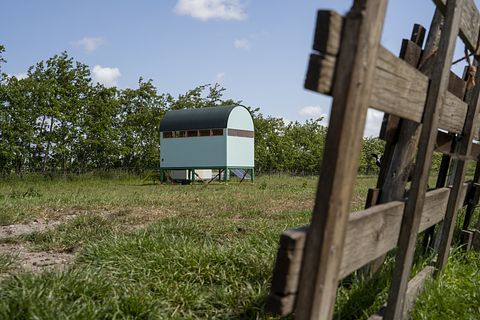 Vogels spotten vanuit je eigen hut - 2