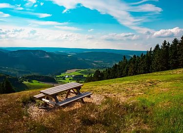 Sauerland Holiday Home with a Jacuzzi - 12