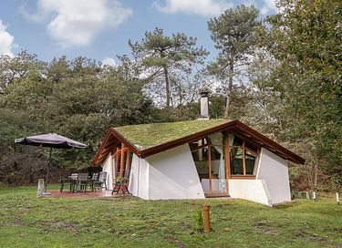 Design bungalow (8p) in bosrijke omgeving