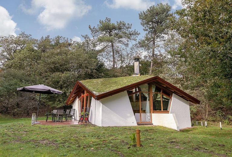Design bungalow (8p) in bosrijke omgeving - 1