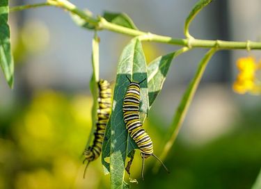 Bed & Breakfast (4p) in de Twentse natuur - 19